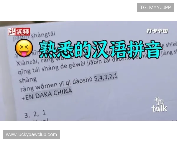 为什么选择333体育国际作为你的体育资讯首选平台:用户体验与内容丰富度分析 为什么选择333体育国际作为你的体育资讯首选平台:用户体验与内容丰富度分析
