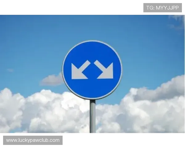 全面解析KY体育手机娱乐平台的特色功能与用户体验提升方案 全面解析KY体育手机娱乐平台的特色功能与用户体验提升方案