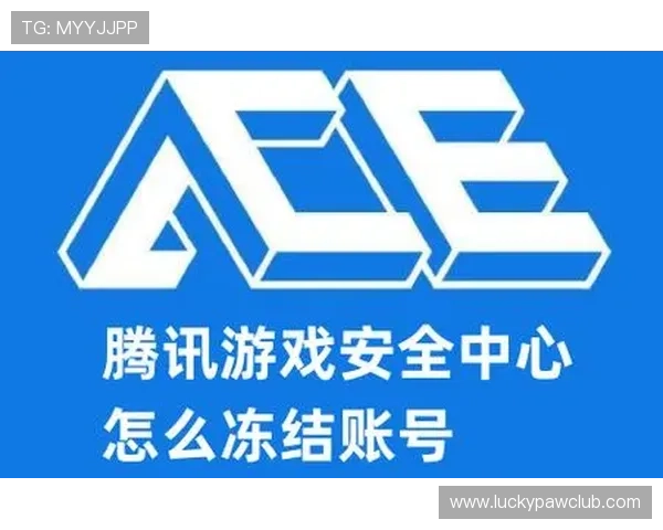 天空体育官网入口安全稳定，支持多种登录方式，保障玩家账号安全与游戏流畅体验