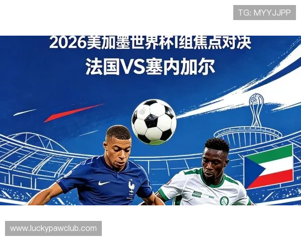 2026年世界杯法国VS塞内加尔比赛球票价格分析与购票最佳时机推荐